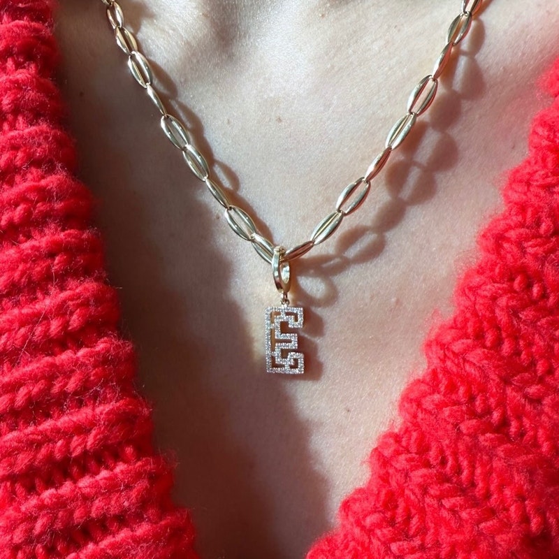 Shylee Rose 14k Yellow Gold Forma Chain Necklace