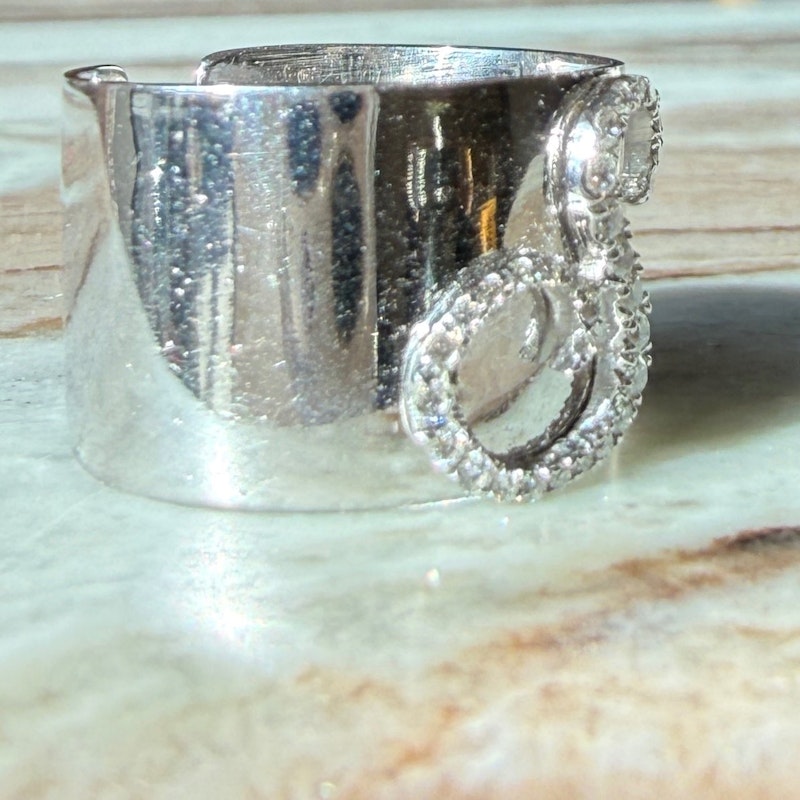 Shylee Rose 14k White Gold Diamond S Initial Cigar Band Ring